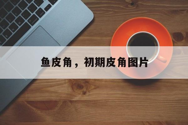 鱼皮角，初期皮角图片-第1张图片-