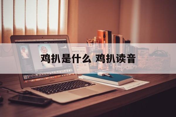 鸡扒是什么 鸡扒读音-第1张图片-