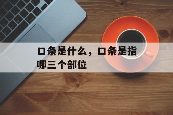 口条是什么，口条是指哪三个部位-第1张图片-