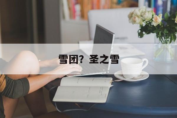 雪团？圣之雪-第1张图片-