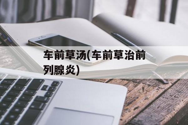 车前草汤(车前草治前列腺炎)-第1张图片-