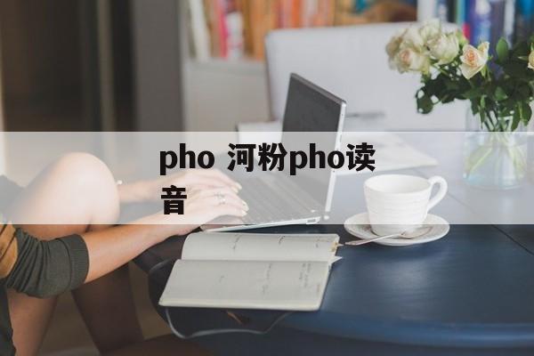 pho 河粉pho读音-第1张图片-