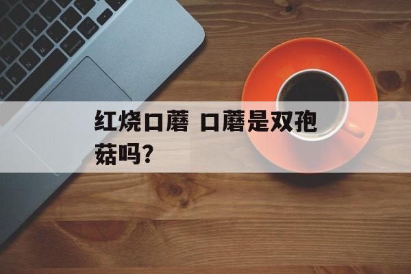 红烧口蘑 口蘑是双孢菇吗？-第1张图片-