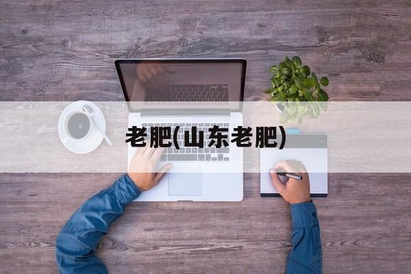 老肥(山东老肥)-第1张图片-