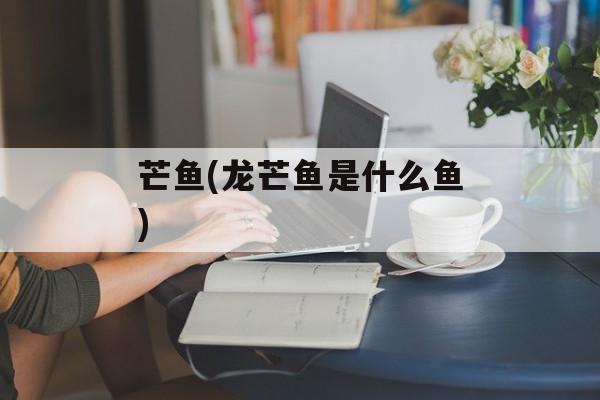 芒鱼(龙芒鱼是什么鱼)-第1张图片-
