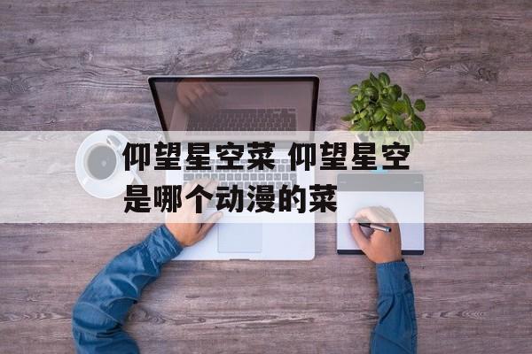 仰望星空菜 仰望星空是哪个动漫的菜-第1张图片-
