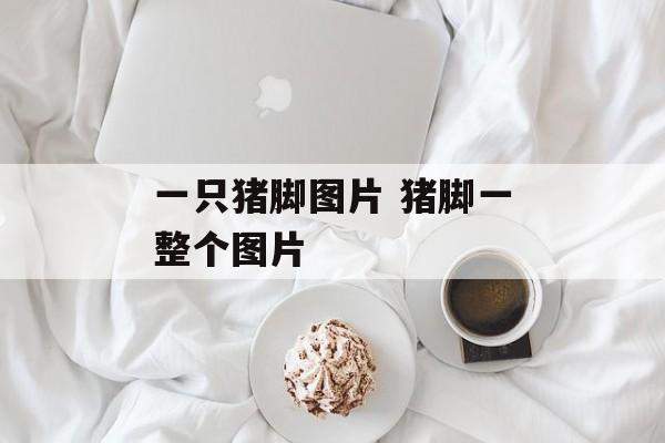 一只猪脚图片 猪脚一整个图片-第1张图片-