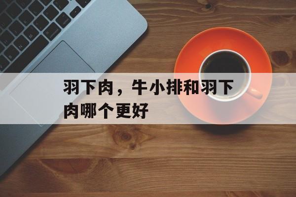 羽下肉，牛小排和羽下肉哪个更好-第1张图片-