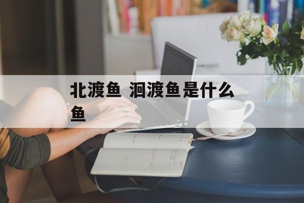 北渡鱼 洄渡鱼是什么鱼-第1张图片-