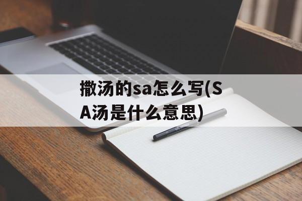 撒汤的sa怎么写(SA汤是什么意思)-第1张图片-