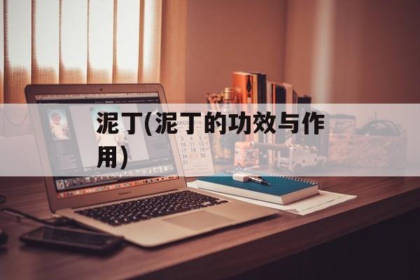 泥丁(泥丁的功效与作用)-第1张图片-