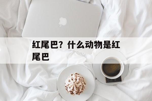 红尾巴？什么动物是红尾巴-第1张图片-