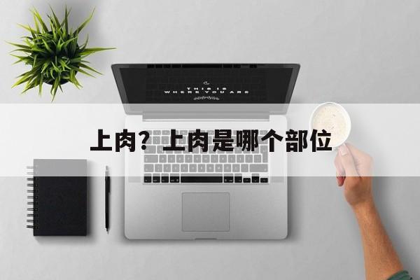 上肉？上肉是哪个部位-第1张图片-