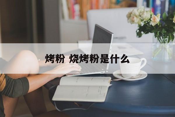 烤粉 烧烤粉是什么-第1张图片-