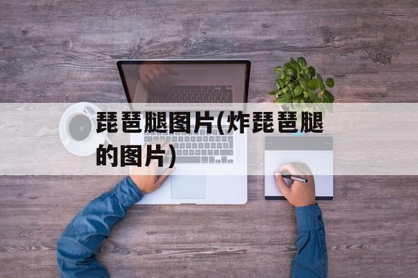 琵琶腿图片(炸琵琶腿的图片)-第1张图片-