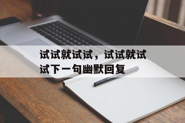 试试就试试，试试就试试下一句幽默回复-第1张图片-