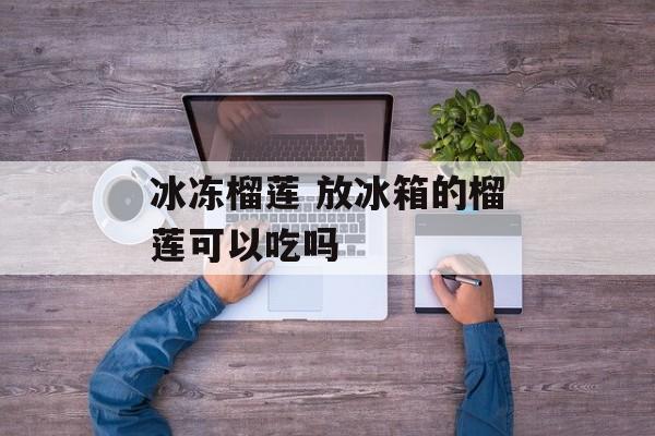 冰冻榴莲 放冰箱的榴莲可以吃吗-第1张图片-