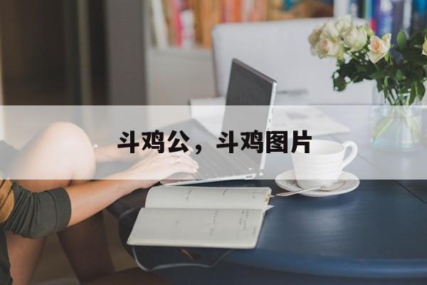 斗鸡公，斗鸡图片-第1张图片-