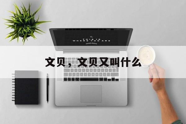 文贝，文贝又叫什么-第1张图片-