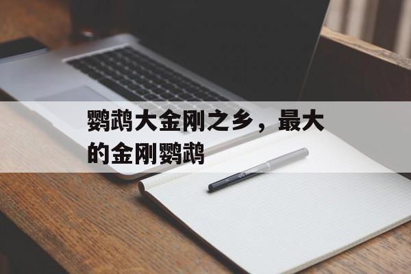 鹦鹉大金刚之乡，最大的金刚鹦鹉-第1张图片-