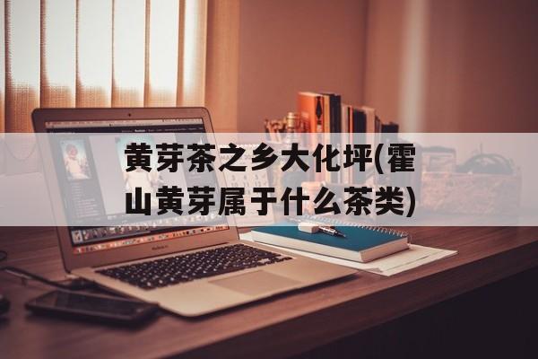 黄芽茶之乡大化坪(霍山黄芽属于什么茶类)-第1张图片-