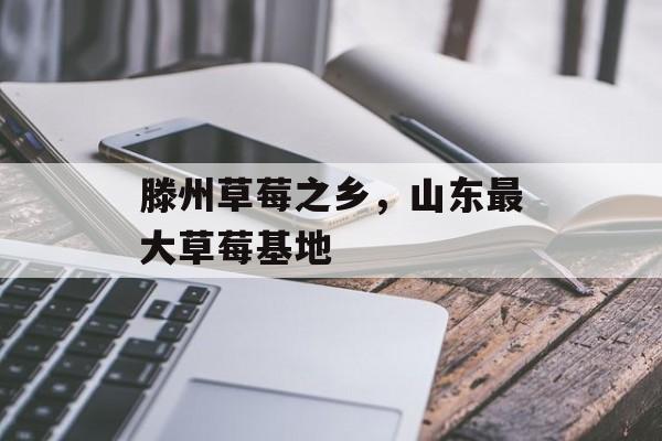 滕州草莓之乡，山东最大草莓基地-第1张图片-