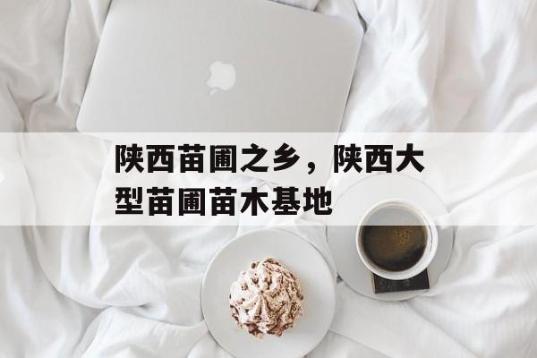 陕西苗圃之乡，陕西大型苗圃苗木基地-第1张图片-