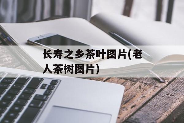 长寿之乡茶叶图片(老人茶树图片)-第1张图片-