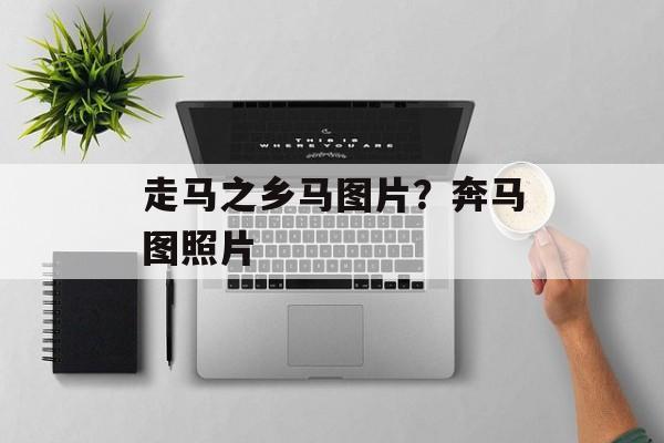 走马之乡马图片？奔马图照片-第1张图片-