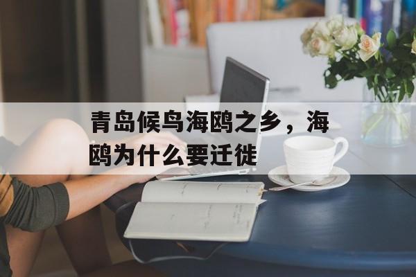 青岛候鸟海鸥之乡，海鸥为什么要迁徙-第1张图片-