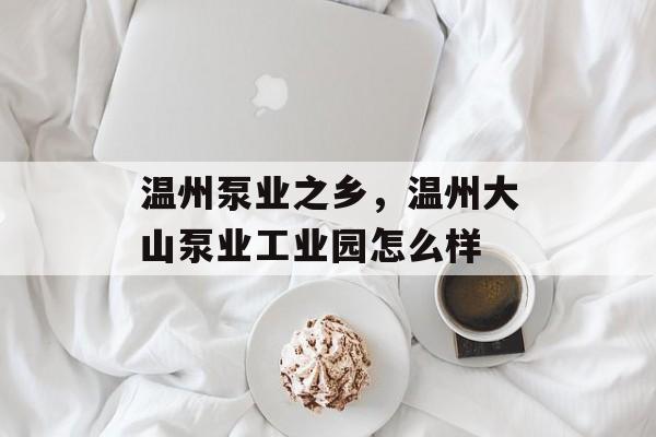 温州泵业之乡，温州大山泵业工业园怎么样-第1张图片-