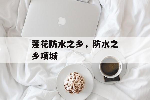 莲花防水之乡，防水之乡项城-第1张图片-