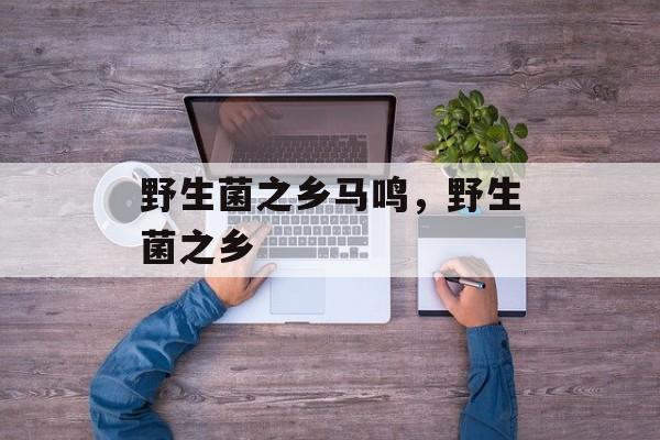 野生菌之乡马鸣，野生菌之乡-第1张图片-