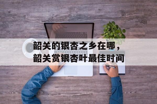 韶关的银杏之乡在哪，韶关赏银杏叶最佳时间-第1张图片-
