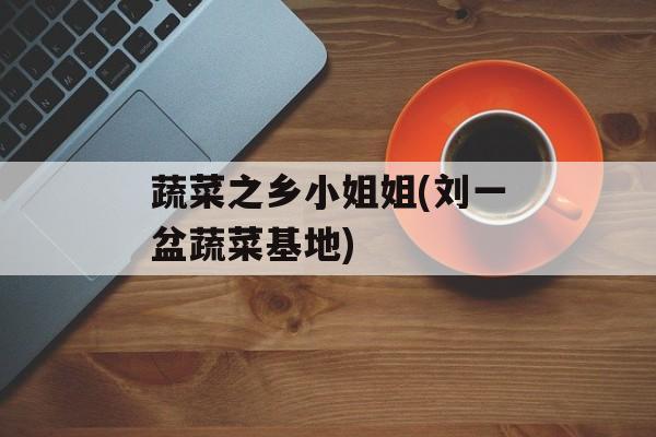蔬菜之乡小姐姐(刘一盆蔬菜基地)-第1张图片-