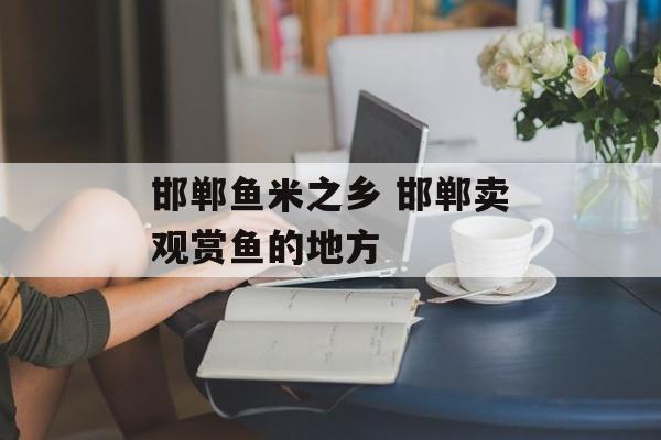 邯郸鱼米之乡 邯郸卖观赏鱼的地方-第1张图片-