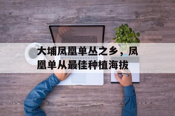 大埔凤凰单丛之乡，凤凰单从最佳种植海拔-第1张图片-