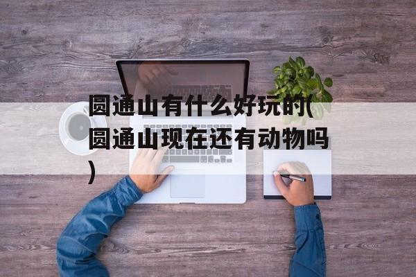 圆通山有什么好玩的(圆通山现在还有动物吗)-第1张图片-