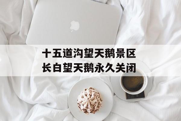 十五道沟望天鹅景区 长白望天鹅永久关闭-第1张图片-