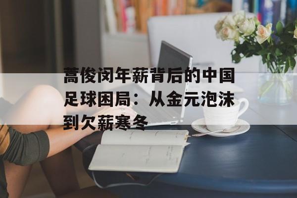 蒿俊闵年薪背后的中国足球困局:从金元泡沫到欠薪寒冬-第1张图片- 蒿俊闵年薪背后的中国足球困局:从金元泡沫到欠薪寒冬-第1张图片-