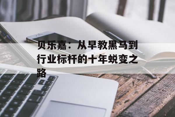 贝乐嘉：从早教黑马到行业标杆的十年蜕变之路-第1张图片-