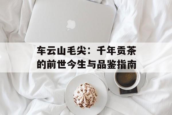 车云山毛尖:千年贡茶的前世今生与品鉴指南-第1张图片- 车云山毛尖:千年贡茶的前世今生与品鉴指南-第1张图片-