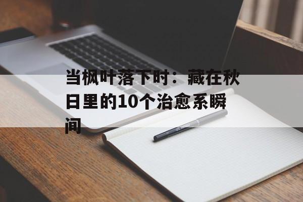 当枫叶落下时:藏在秋日里的10个治愈系瞬间-第1张图片- 当枫叶落下时:藏在秋日里的10个治愈系瞬间-第1张图片-