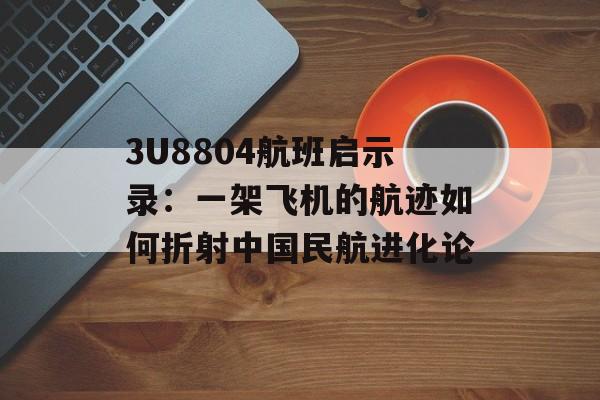 3U8804航班启示录：一架飞机的航迹如何折射中国民航进化论-第1张图片-