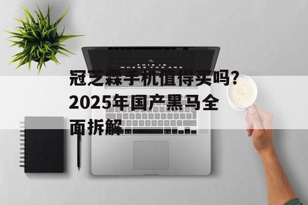 冠芝霖手机值得买吗？2025年国产黑马全面拆解-第1张图片-