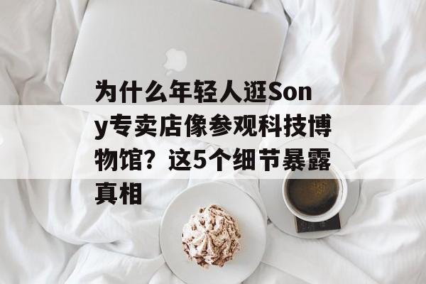为什么年轻人逛Sony专卖店像参观科技博物馆？这5个细节暴露真相-第1张图片-